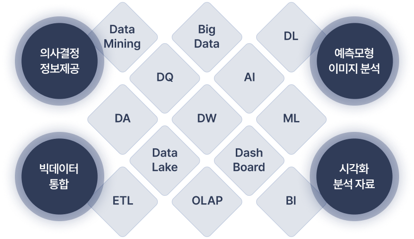 [DX 주요서비스] 의사결정 정보제공, 예측모형 이미지분석, 빅데이터 통합, 시각화 분석자료 - Data Mining, Big Data, DL, DQ, AI, DA, DW, ML, Data Lake, Dash Board, ETL, OLAP, BI